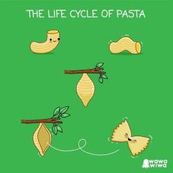 awwww-cute:  The Life Cycle of Pasta (Source:
