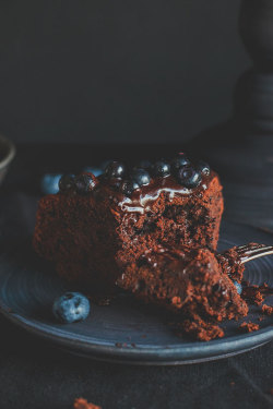 thelavishsociety:  Chocolate Cake by Natali Levshina | LVSH 