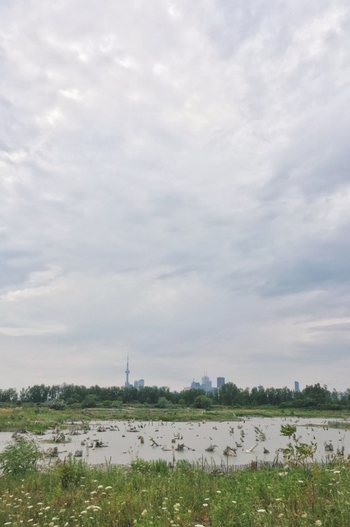 Toronto from the End of the WorldAlong the monotonous straight concrete road, past the sailboats and