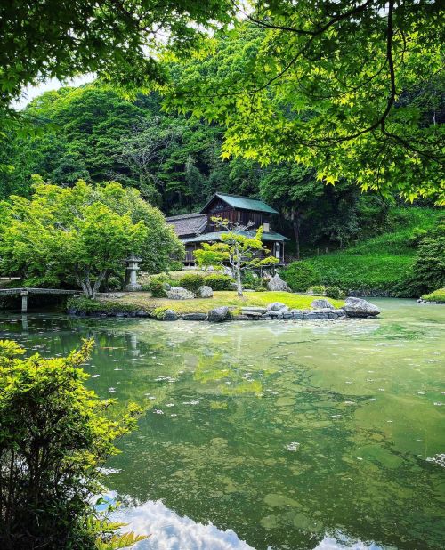 近水園 / Omizuen Garden, Okayama ② 岡山市・足守の大名庭園『近水園』が素敵…！ 北政所（ねね）の兄・木下家定が藩祖の足守藩主・木下家。江戸時代中期に『京都仙洞