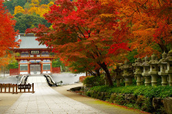 japanlove:  Katsuo-ji main gate 