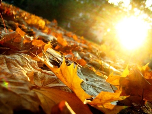 aliciasur:  I just wanna Trust in you, ‘cause I love You en We Heart It - http://weheartit.com/entry/79808005