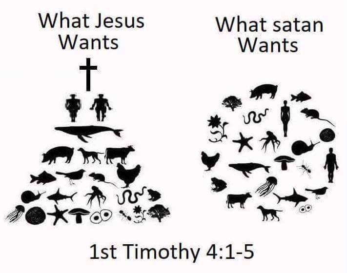 smarmyanarchist:  toast-potent:   What Jesus Wants: for humans to be considered better