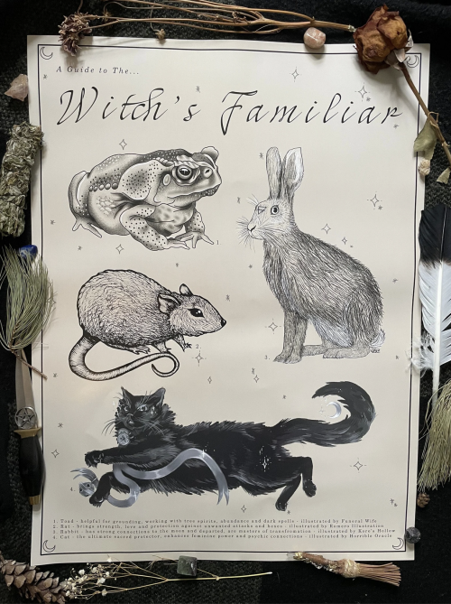 A Guide to the Witch’s Familiar Print by MoonEyedHare