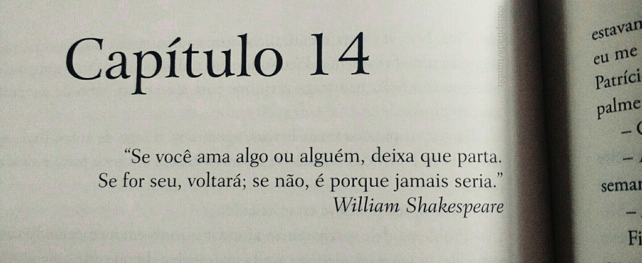 Busque