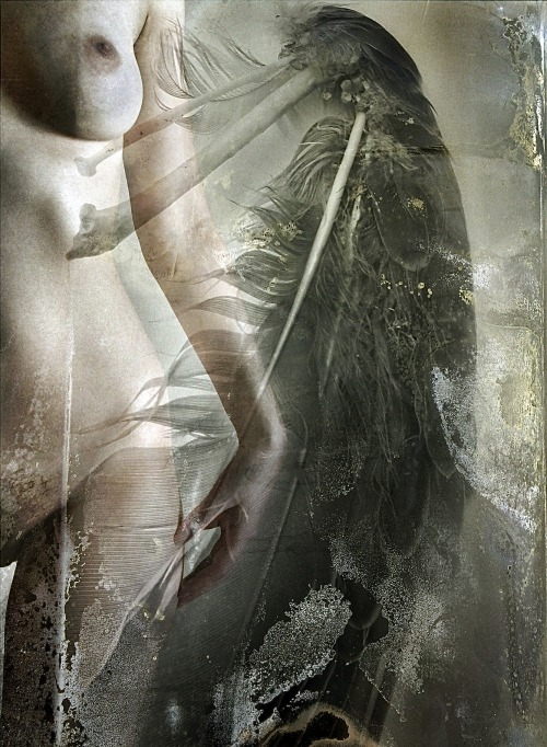 electricsexdoll:  graeandresen:  self-portrait by ElectricSexDoll edit.12 - (original photo © electricsexdoll.tumblr.com - edit © Græ Andresen)   Gahh I love this one.