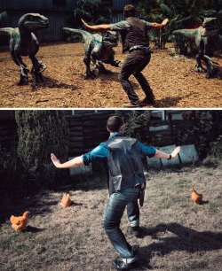 mistress92:  tastefullyoffensive:  Jurassic World on a budget. (photo via blick2k)  i see no difference. 