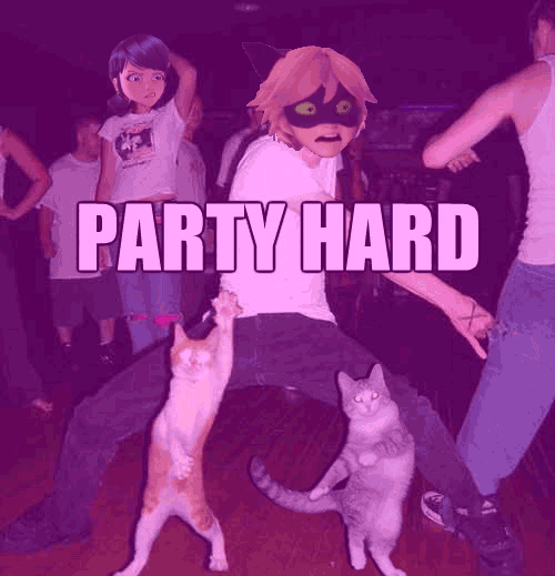 miraculoushitposting:  HAPPY NEW YEAR GUYS