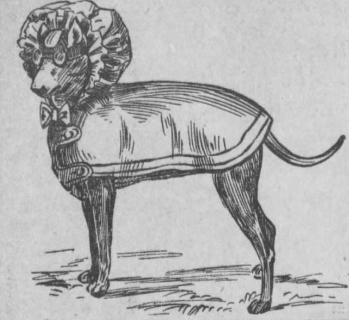 yesterdaysprint: Los Angeles Herald, California, December 20, 1908