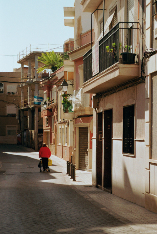 a ñ o r a n z a [elche, noviembre 2019]kodak gold 200nikon f90nikkor 28-85 f/3.5-4.5 af&