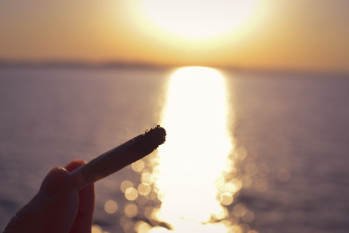 chronicallycloudy - Nothing’s better than a joint at sunset at...