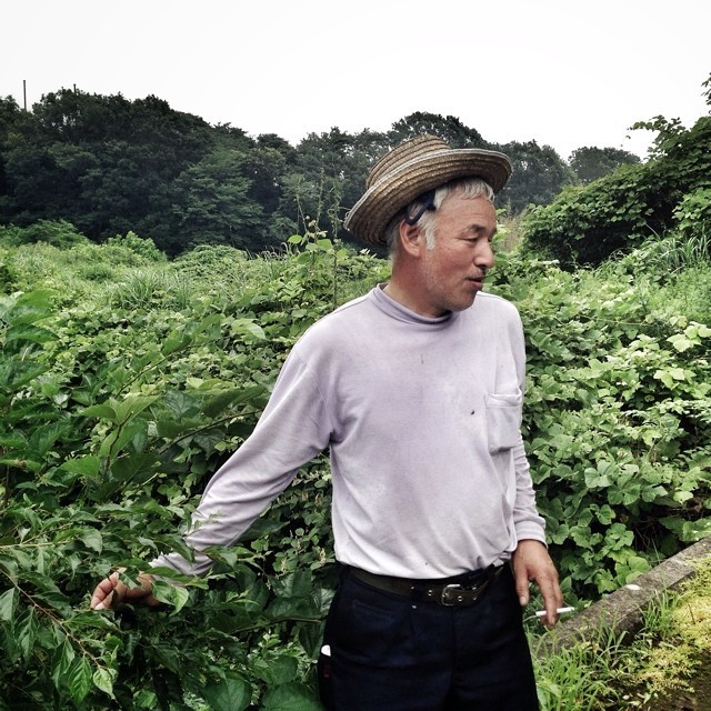 A farmer who refuses to abandon his cattle farm in the Fukushima nuclear exclusion zone stands in front of an overgrown rice field near his contaminated farm.
“My life has changed so much since the earthquake, it’s unbelievable”
#fukushima #japan...