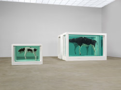 adapto:  Damien Hirst Mother and child (Divided),