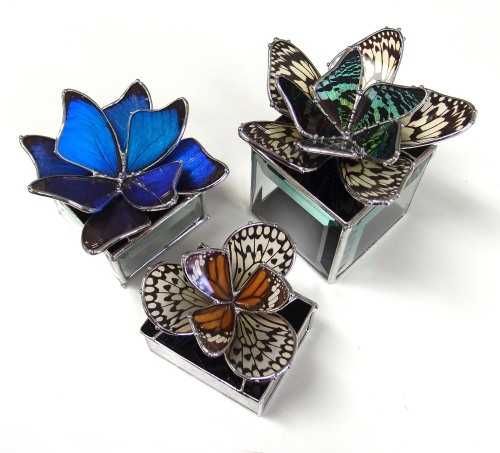 Stained glass boxes with real butterfly wing ‘flowers’.https://www.etsy.com/shop/neile