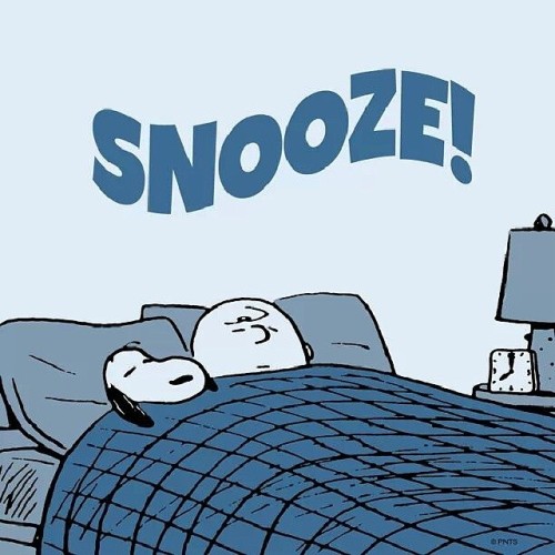 filmnewsandreviewsbyoz:  Who else felt like this in the morning? #mondayssuck #snoopy