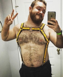 gato-loco:  @addictstobears on Instagram 