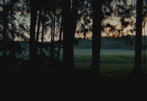 lambentmaterial:  The Mirror. Andrei Tarkovsky. 1975.