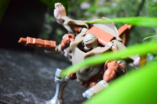 FFWD &gt;&gt; 67:2021 Beast Wars Vintage Reissue Rattrap