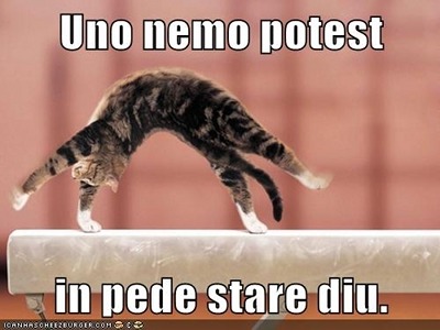 Uno nemo potest in pede stare diu.Nobody can stand for very long on just one foot.(From Bestiaria La