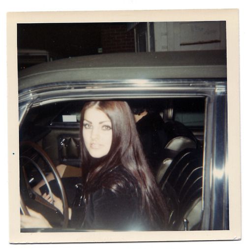 XXX crushedboness:  priscilla presley glamorously photo