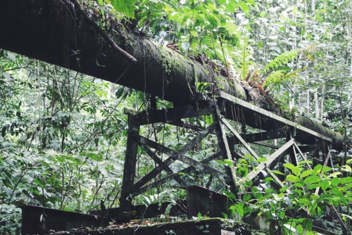 adzamnotadam:  Trip to Nuang Mountain, Malaysia, 2015