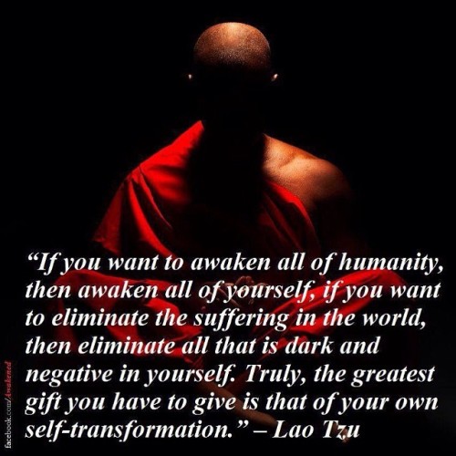If you want to awaken all of humanity then awaken all of yourself. If you want to eliminate the suffering in the world, then eliminate all that is dark and negative in yourself. Truly the greatest gift you have to give is that of your own...