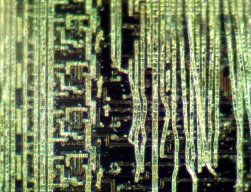 fuckyeahfortran:I abraded this chip after etching away the protective glass layer. Welp. On the plus