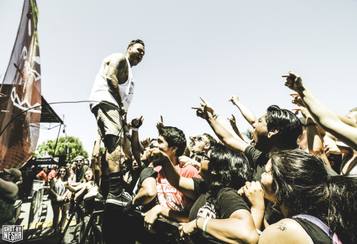 shotbynesha:  Stick To Your Guns , San Diego Warped Tour 2013 - Nesha Torres Website | Facebook | Blog | Twitter | Instagram 