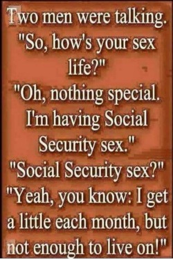 southern-man:tallykat:🤣🤣