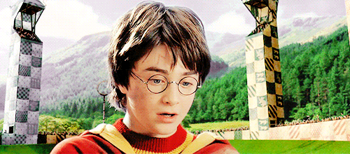 magicfolk:  Harry Potter has caught the Golden Snitch! Gryffindor wins! 