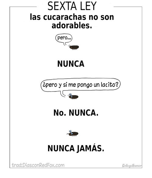 dulcealien:  tretente:  Las leyes de lo adorable  Jajaja las cucarachas nunca. NUNCA! 