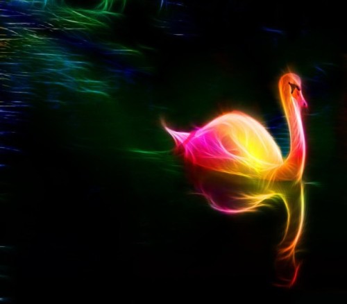 unknowneditors:  Digital illustrations by Minimoo64  The series of digital illustrations by the Canadian artist, known under the nickname minimoo64, isn’t directly related to mathematical fractals. She simply transforms usual animal portraits into glowing