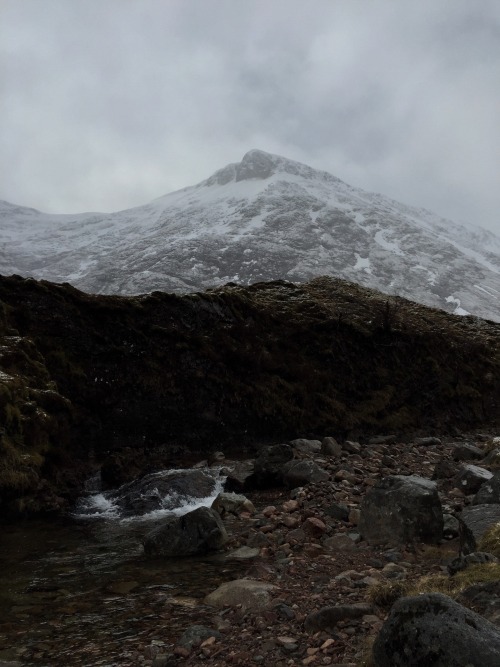 celticwinds: went to glencoe today and it snowed and i saw so many deer and it was wonderful