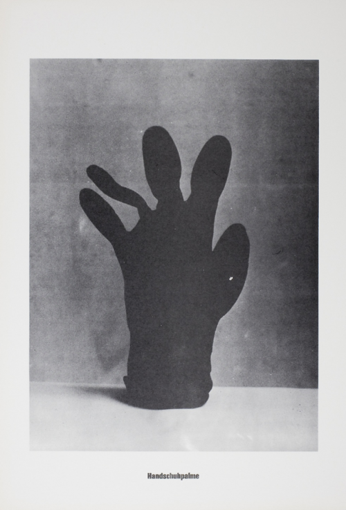 Sigmar PolkeGlove Palm (Handschuhpalme) 1966Offset lithograph, from the portfolio “Higher Bein