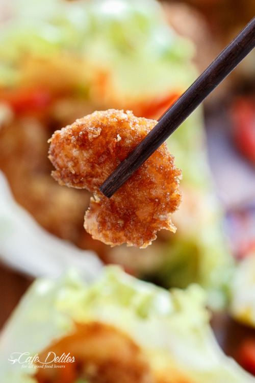 foodffs:  OVEN FRIED TEMPURA BATTER SHRIMP LETTUCE WRAPS WITH A TERIYAKI SAUCEReally nice recipes. Every hour.Show me what you cooked!