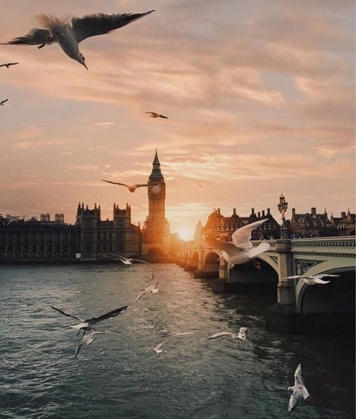 alisaineurope: bruwho: @meowiie London, England