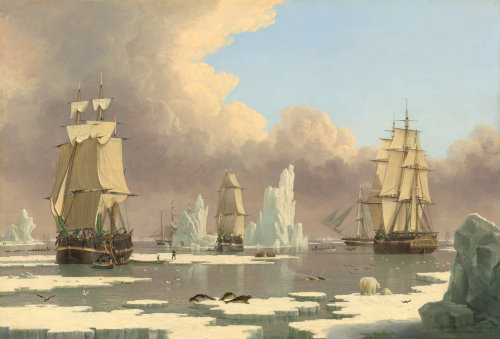 seagodofmagic:The Northern Whale Fishery: The “Swan” and “Isabella,” c. 1840 by John Ward of Hullsaw