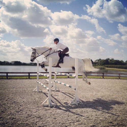 sandraldalman:Getting ready to horse show this weekend!!