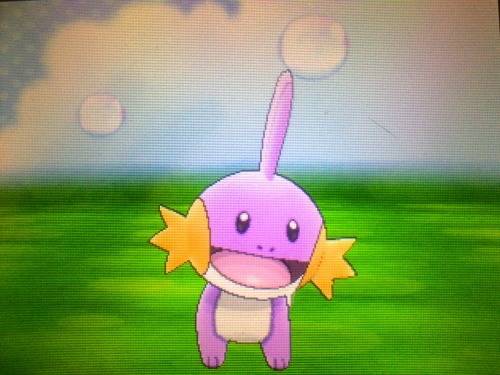 theshinystats:THE SHINY STATS 750 Follower Pokemon Giveaway!!!!!!!!!!So sorry for taking so long D: 