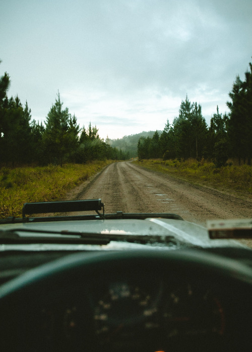 nicrwilson:Rainy Forest Drives (12.09.20)By Nic WilsonInstagram  Tumblr  Website  Pri