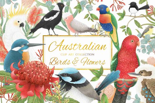 Australian Birds & Flowers by JenDigitalArt★ download • FREE GRAPHICS OF THE WEEK