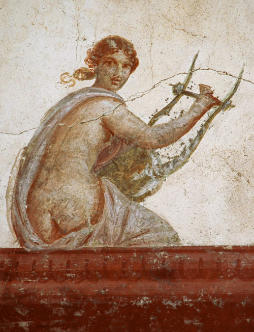 Wall Painting in the Villa San Marco, Stabiae, another ancient Roman city buried by the infamous eru