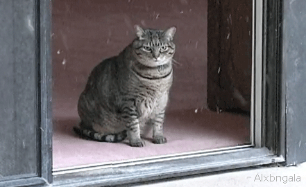 oprahwinfried:  when you fake sick and everyones like “yeah you look really terrible”