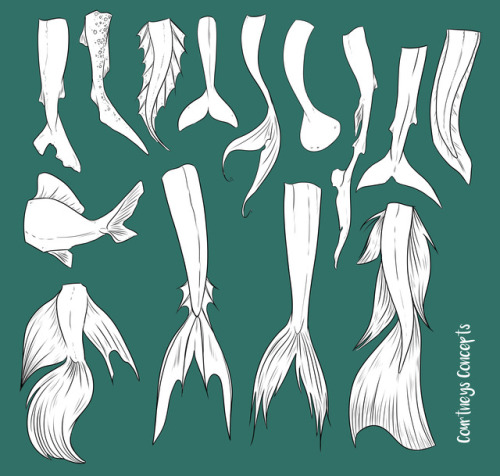 courtneysconcepts: Different tail ideas for MerMay mostly based off fish and aquatic mammals