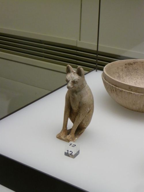 Romano-Germanic MuseumThin-walled white pottery and animal figurines made in Cologne, 2nd century CE