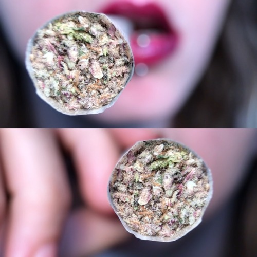 shesmokesjoints - 