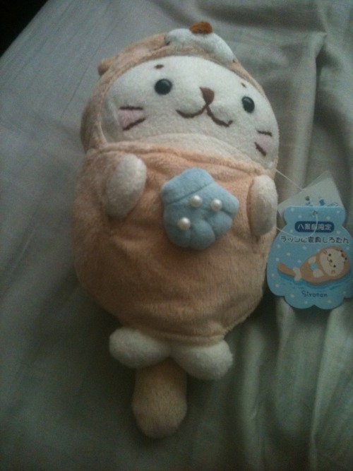 New seal