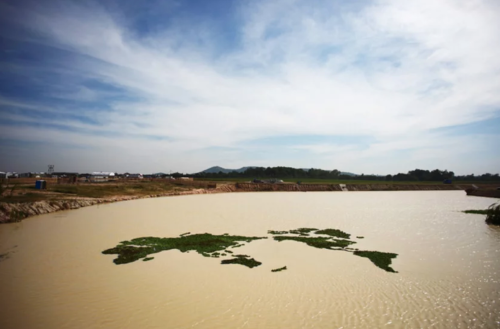Island by Takashi Kuribayashi, 2014​World map made by water plants that inhabit floating in the pond