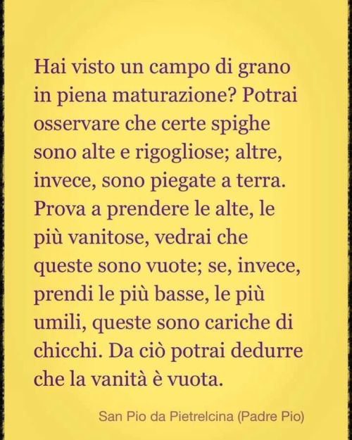 “C’era una volta una conchiglia…
Se ne stava in fondo al mare cullata dalle onde, sfiorata dal passaggio sinuoso di pesci colorati e cavallucci marini, fino a quando… una tempesta giunse a lei, sconvolgendole la vita. La violenza delle onde la...