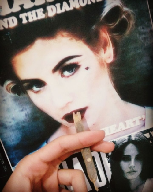 ♡ Electra Heart, are you faux… real? ♡